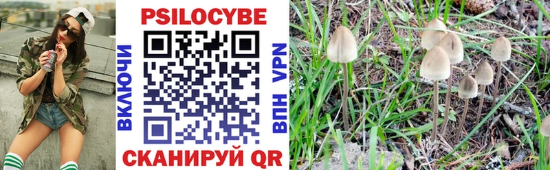 Галлюциногенные грибы GOLDEN TEACHER  Купить закладки  Судогда 